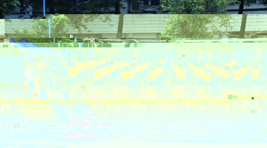 集體.jpg